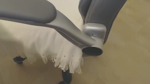 09seb09 online show from April 17, 2026, 7:28 pm