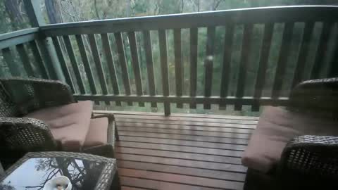 Snapshot of 101jama101 chatting on November 14, 2025, 9:19 am Intenseduo online show from November 14, 2025, 9:19 am