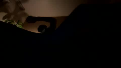 Snapshot of 11rastamilkdudbbc chatting on March 21, 2026, 3:22 am 11rastamilkdudbbc online show from March 21, 2026, 3:22 am