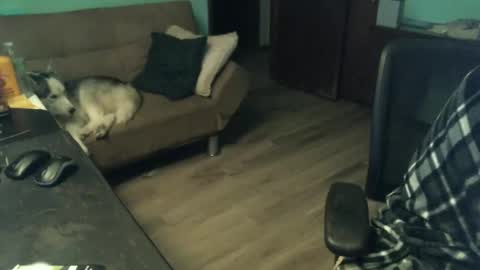 1handyanddee online show from November 30, 2025, 1:53 am