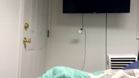 20yrold2001 online show from March 17, 2026, 9:51 pm