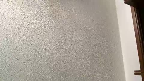 23sk_doo online show from February 22, 2025, 9:48 pm