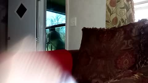 BlacJewels online show from February 22, 2026, 4:16 pm