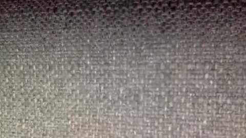 30nick online show from April 8, 2026, 6:46 am