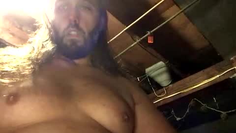 33adidas online show from November 11, 2025, 11:10 am