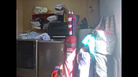 Thisguy online show from October 15, 2025, 7:58 pm