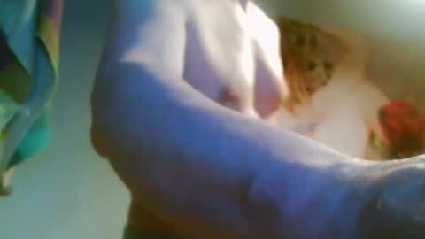 Snapshot of 41bigdick41 chatting on April 8, 2026, 3:45 pm 41bigdick41 online show from April 8, 2026, 3:45 pm