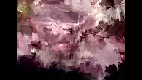 Snapshot of 4kbrandon2fck chatting on January 30, 2025, 4:55 pm Kyle Brandon online show from January 30, 2025, 4:55 pm