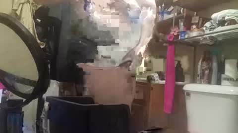 Snapshot of 4kbrandon2fck chatting on October 12, 2025, 4:39 pm Kyle Brandon online show from October 12, 2025, 4:39 pm