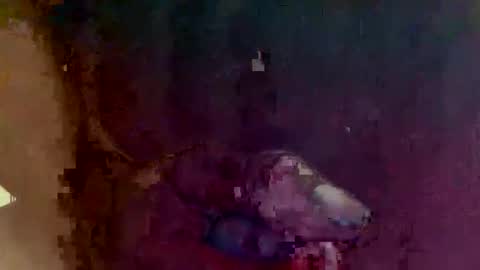 Snapshot of 4utootrynow859326 chatting on March 2, 2026, 1:40 pm 4utootry online show from March 2, 2026, 1:40 pm