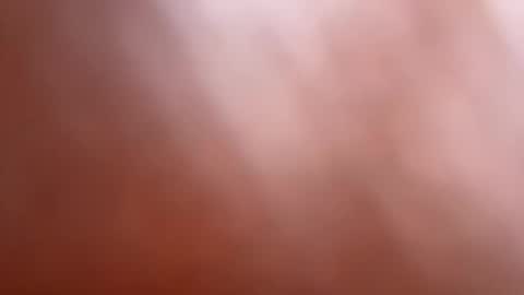 bob big head online show from March 12, 2025, 6:29 am