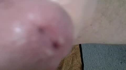 Snapshot of 81_harterschwanz chatting on December 13, 2024, 12:06 pm Maximilian Max online show from December 13, 2024, 12:06 pm