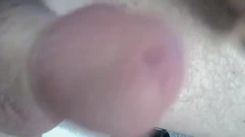 Snapshot of 81_harterschwanz chatting on January 4, 2025, 3:07 pm Maximilian Max online show from January 4, 2025, 3:07 pm