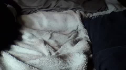 8675309r2d2 online show from September 16, 2025, 9:10 am