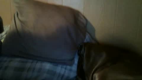 8675309r2d2 online show from September 30, 2025, 7:57 am