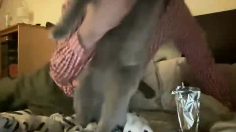 _absoiute online show from November 20, 2025, 2:34 am