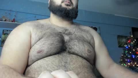 Snapshot of _alan_bear_ chatting on January 16, 2025, 3:23 am Alan online show from January 16, 2025, 3:23 am