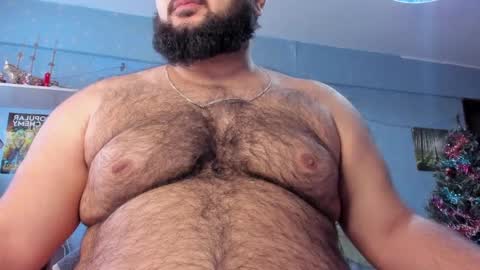 Snapshot of _alan_bear_ chatting on January 25, 2025, 9:57 am Alan online show from January 25, 2025, 9:57 am