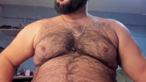 Snapshot of _alan_bear_ chatting on February 9, 2025, 3:45 pm Alan online show from February 9, 2025, 3:45 pm