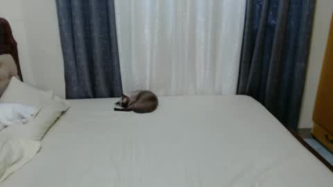 Amber online show from December 1, 2024, 9:26 pm