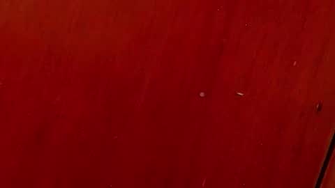 Any online show from October 4, 2025, 7:01 pm