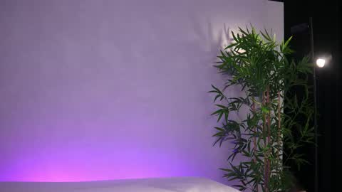 Arielle online show from March 20, 2026, 8:08 am