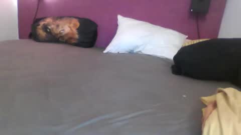 _bertl_ online show from October 25, 2025, 8:36 pm