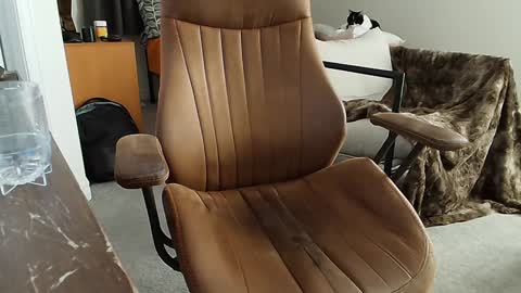 Snapshot of _black_lotus chatting on February 2, 2025, 1:34 am _black_lotus online show from February 2, 2025, 1:34 am