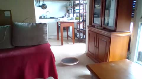 _bubble_buttfunxxx online show from October 11, 2025, 9:41 am