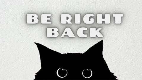 Sam  online show from January 19, 2025, 11:34 am