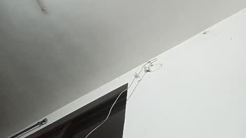 _iluvatar_ online show from February 26, 2026, 4:55 am