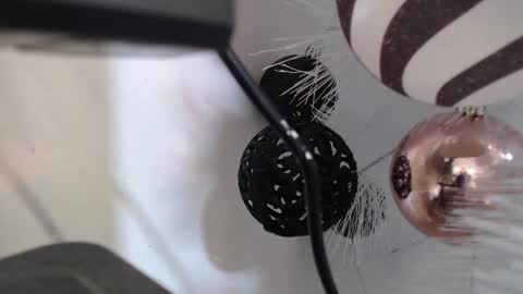 Cata  online show from December 2, 2025, 3:12 am