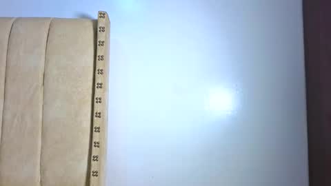 Snapshot of _littlevenus chatting on February 3, 2026, 2:53 am Littlevenus online show from February 3, 2026, 2:53 am