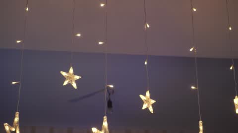  Gwen  online show from December 29, 2024, 2:27 am