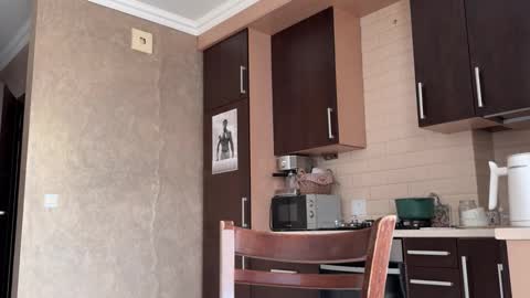 Francine Aisi Morpho - a genus of blue butterflies. online show from November 20, 2025, 11:21 am