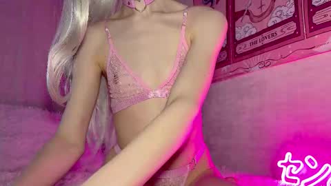 Nora online show from November 16, 2025, 8:42 am