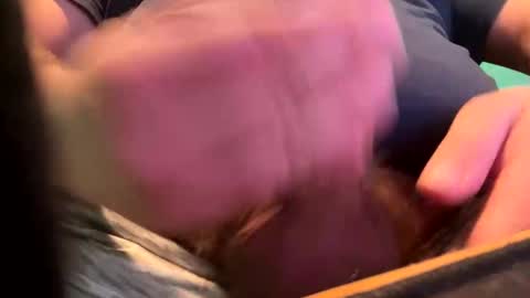 _peterson_ online show from January 15, 2025, 10:24 pm