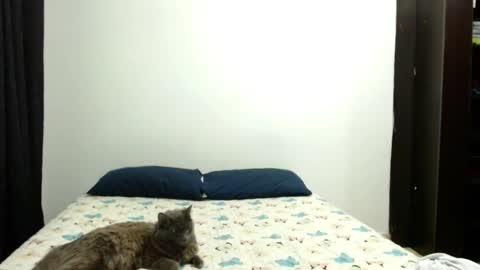 Sofia Parker online show from October 3, 2025, 4:37 pm