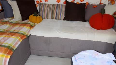 Alice online show from December 9, 2024, 10:22 am