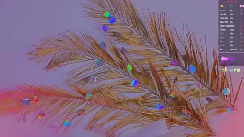 Ally online show from March 6, 2025, 3:24 pm