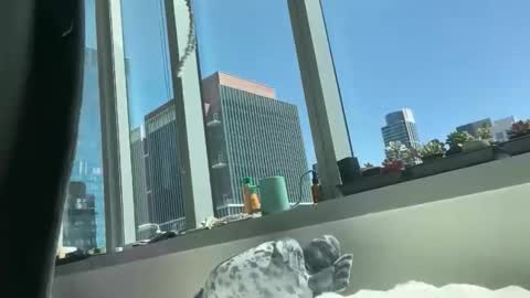 aaron494949 online show from April 5, 2026, 7:55 pm