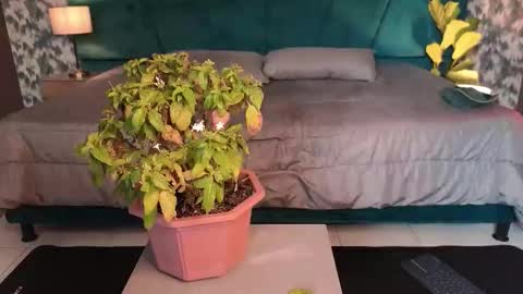 Aaron Ezequiel online show from January 31, 2026, 8:51 pm