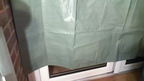 Aaron online show from December 22, 2025, 7:44 pm