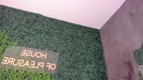 A B B Y online show from February 19, 2025, 12:11 pm