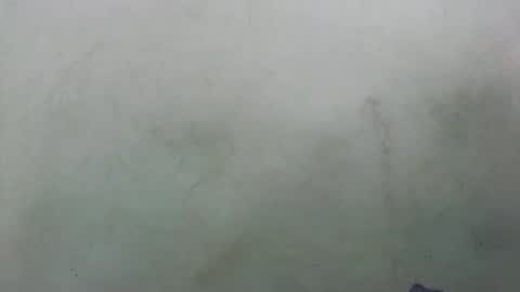 abella677022 online show from February 16, 2026, 8:16 pm