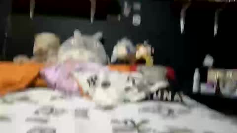 adam and abby online show from February 28, 2025, 5:37 pm