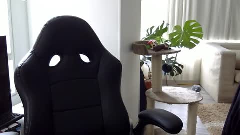 adam_evehotroom online show from October 15, 2025, 8:20 pm