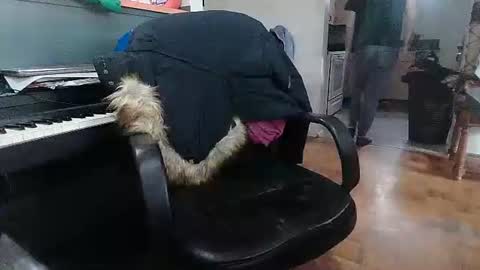 Snapshot of adamk3 chatting on February 18, 2026, 9:22 pm Adam and Logan online show from February 18, 2026, 9:22 pm