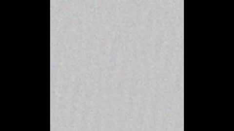 Victoria online show from February 12, 2025, 11:40 am