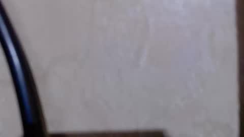 aeonian4 online show from December 19, 2025, 11:23 pm